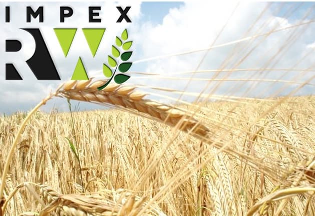 RW Impex from Ukraine exports wheat grade 2 on favorable terms